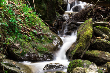 Fototapeta premium Wasserfall Moos Steine