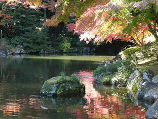 成田山公園の秋