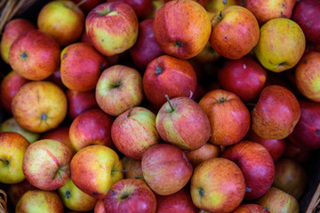 Red apples - Borough Market, London
