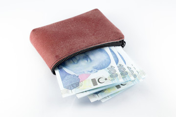 women purse with turkish lira banknotes