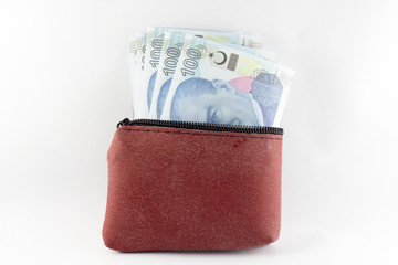 women purse with turkish lira banknotes