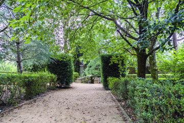 Fototapeta premium Ground walk in a very green park with many trees. Park of the brothers Naveira, betanzos, Galicia, Spain
