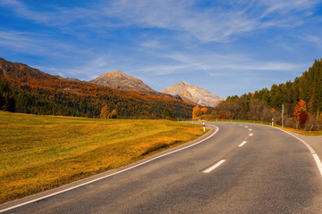 Landscape of the Swiss Alps and forest of national parc in Switzerland. Alps of Switzerland on autumn. Parc Naziunal Svizzer. Swiss canton of Graubunden.  Val Müstair Region