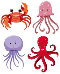 Four types of sea animals on white background