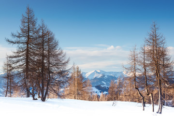 Beautiful Alpine mountains. Winter landscape.