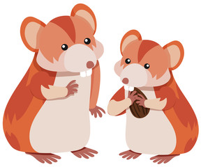 Two hamsters eating almond