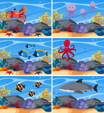 Six underwater scenes with sea animals