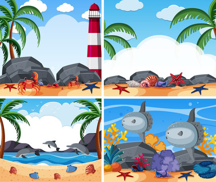 Four ocean scenes with animals and beach