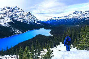 Person at Peyto Lake