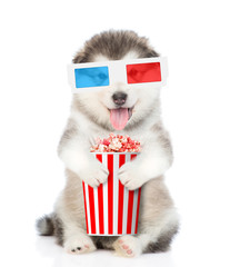 Funny puppy in the 3d glasses with popcorn basket. isolated on white background
