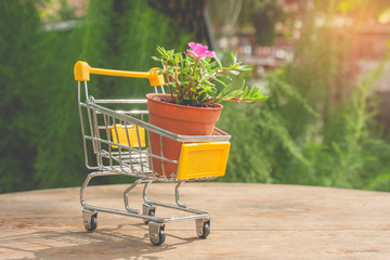 Ecology Concept : Flowerpot in yellow mini shopping cart or supermarket trolley set on wooden floor in vintage style with green natural and sun flare in the background. (Selective focus)