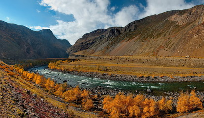 beria. Altai Mountains, Aautumn on the river Chulyshman