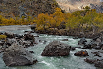 beria. Altai Mountains, Aautumn on the river Chulyshman