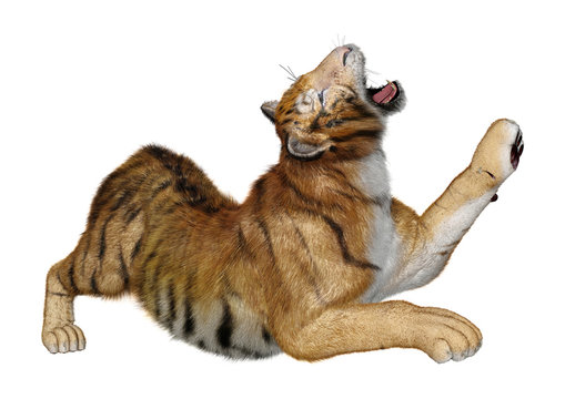 3D Rendering Big Cat Tiger on White