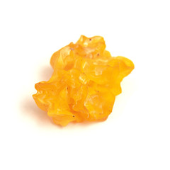 tremella aurantia fungus