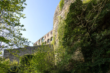 Fototapeta na wymiar Burg Könistein im Taunus, Hessen
