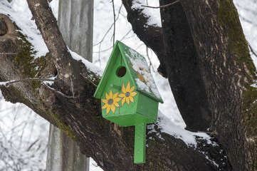 Feeder with a lodge for birds