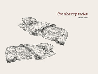 cranberry twist , hand draw sketch vector.