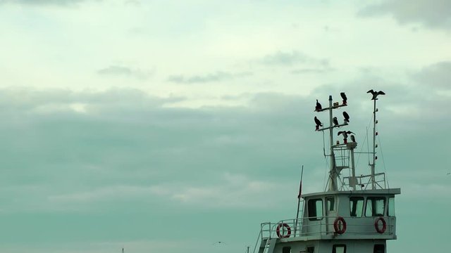 Cormorants on the ship Pole
