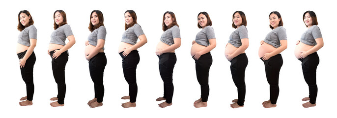 Asian woman in pregnancy stages isolated on white background, Changes in a woman body in pregnancy from first month to nine month