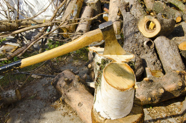 Siekiera © KrólestwoNauki