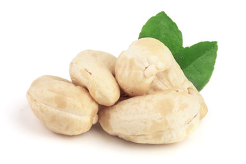 cashew nuts with leaf isolated on white background. macro