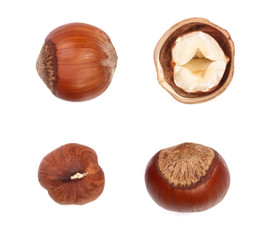 Hazelnut isolated on white background. Set or collection