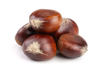 sweet chestnut isolated on white background
