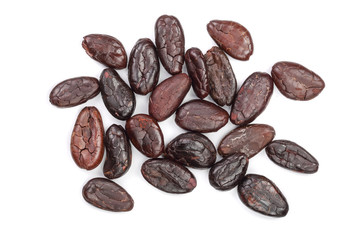 cocoa bean isolated on white background close-up top view