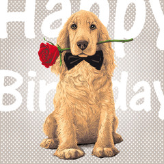 Golden Cocker Spaniel Dog sitting with a Red Rose in His Mouth