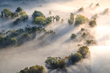 Parco Adda Nord in an foggy autumn sunrise with colored trees and fog and sun rays near the Adda river, Lombardy, Italy