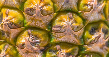 Fototapeta premium A very close view of a Pineapple skin