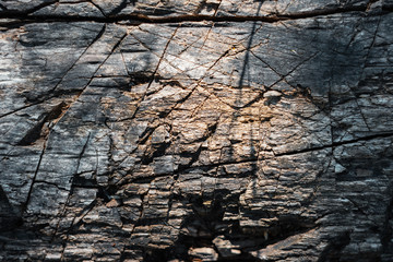 Directly Above Shot Of Carved Tree Bark With Knife Cuts