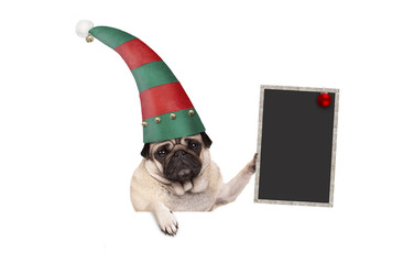 Christmas pug puppy dog with red and green elf hat holding up blank blackboard sign, hanging on white banner, isolated