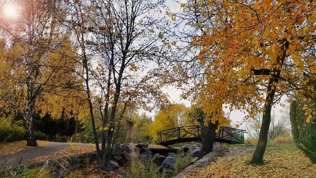 Autumn footpath in the city park with a bridge on a suny day. Light breeze.