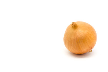 An Onion against a White Background