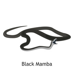 Black Mamba color flat icon