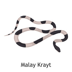 Malay Krayt color flat icon