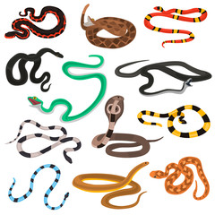 Different poison snakes color flat icons set