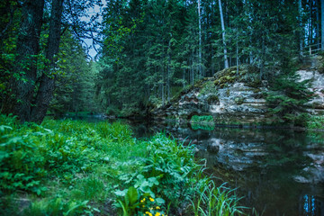A beautiful viev to the river in forest