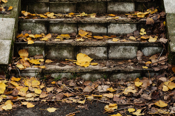 Old Concrete Stairway Covered In Autumn Leaves