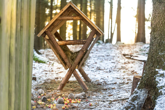 cratch feeder for wild animals in winter forest
