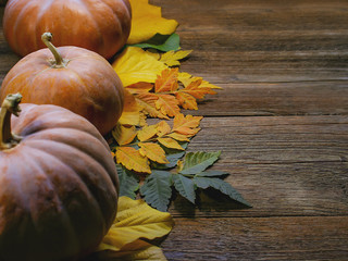 pumpkins and autumn leaves