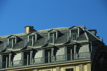 mansard windows on the roof of the house