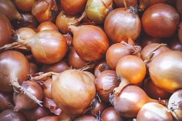 onion bulbs