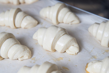 Dough for croissants. Preparation of croissants.