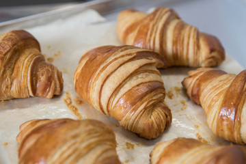 Freshly baked croissants lies with baking paper