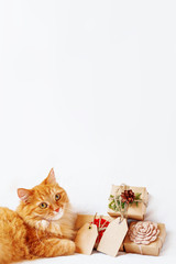 Cute ginger cat lies with stack of christmas presents. New Year gifts are wrapped in craft paper and have empty tags for your text.