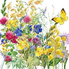 Fototapeta na wymiar Summer flowers watercolor background