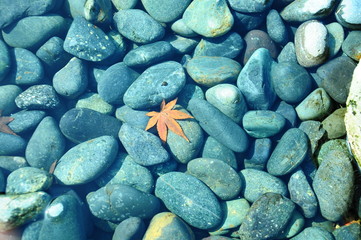 光明禅寺の庭園